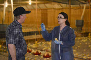A veterinarian consults with a chicken farmer.
